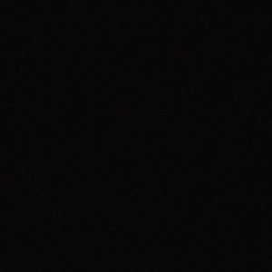 Meet your Posher, Jaylon